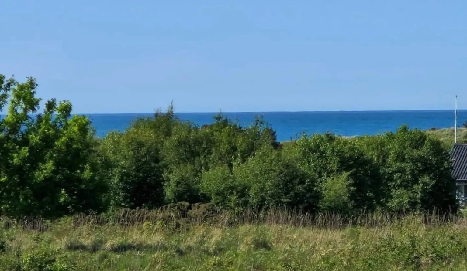 Blick über grüne Büsche auf das Meer