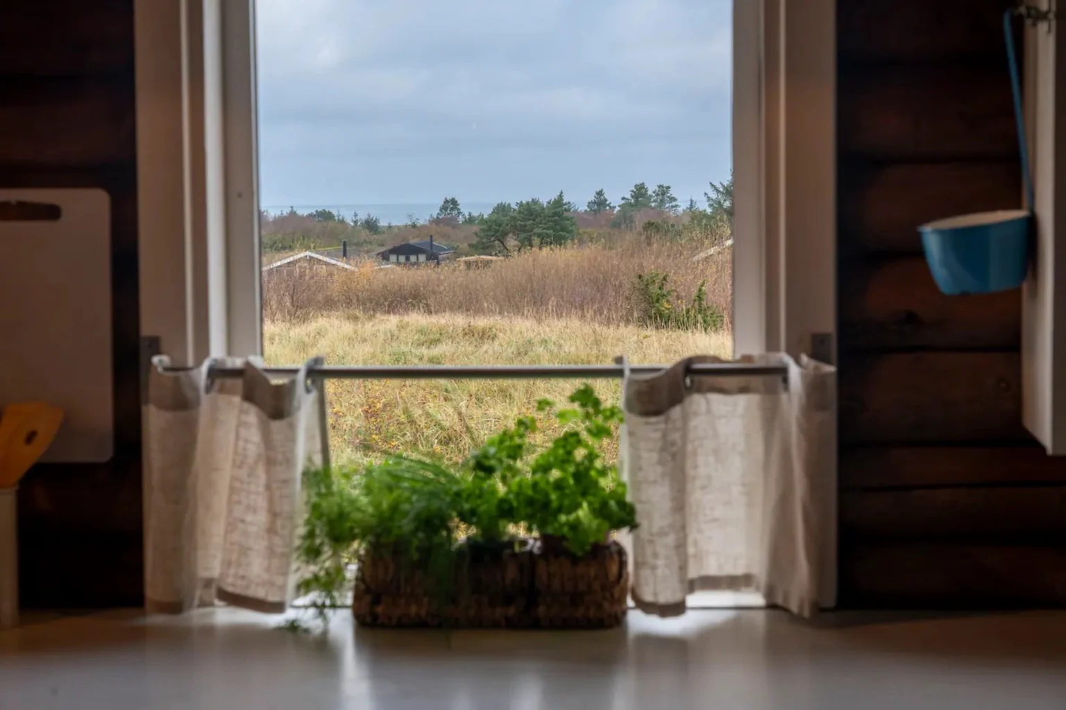 Blick aus dem Fenster auf die Heide, Kräuter auf der Fensterbank